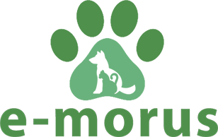 Logo_e-morus-male